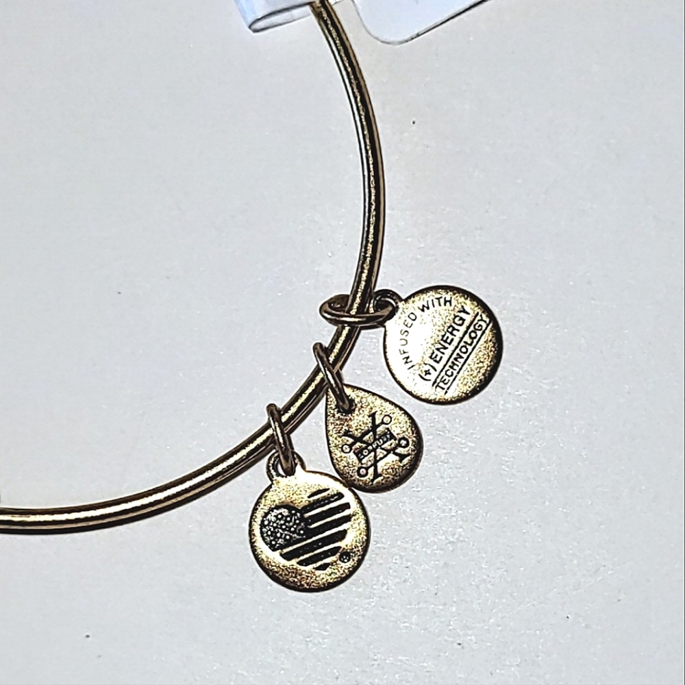 ALEX AND ANI "GRANDDAUGHTER" CHARM BANGLE BRACELET - 2016 - Picture 2 of 7
